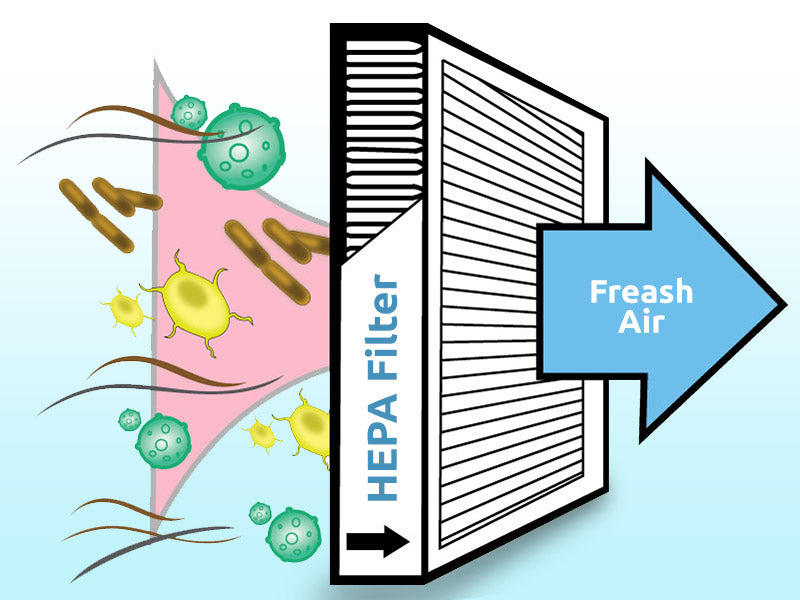 What is a HEPA filter vacuum and do I need one?