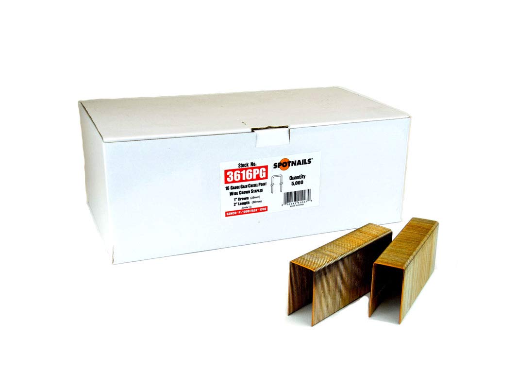 SpotNails 3604PG-10M 1/2" Galvanized 16 Ga 1" Crown Wide Crown Staples 10M