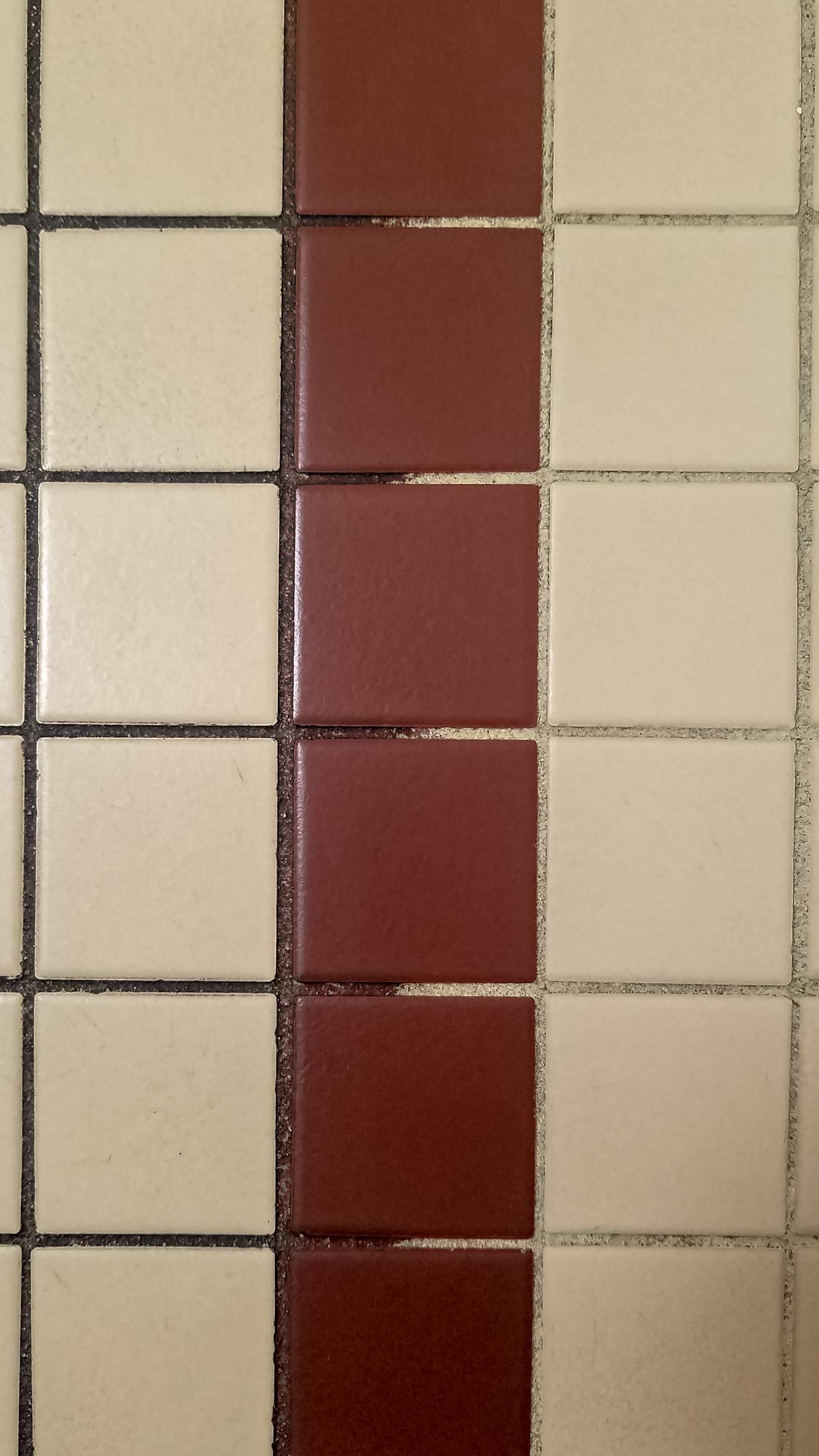 Square Scrub 4.75x10 Blue Tile & Grout Pad - Sold Individually