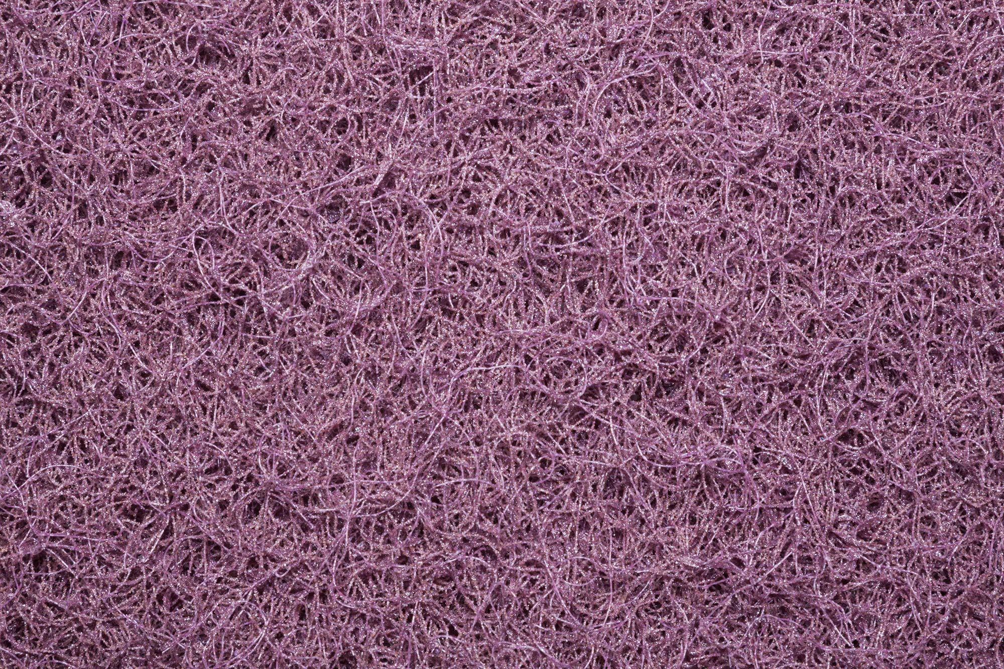 Square Scrub 20" SHO Wet Strip Pad - 5/Case