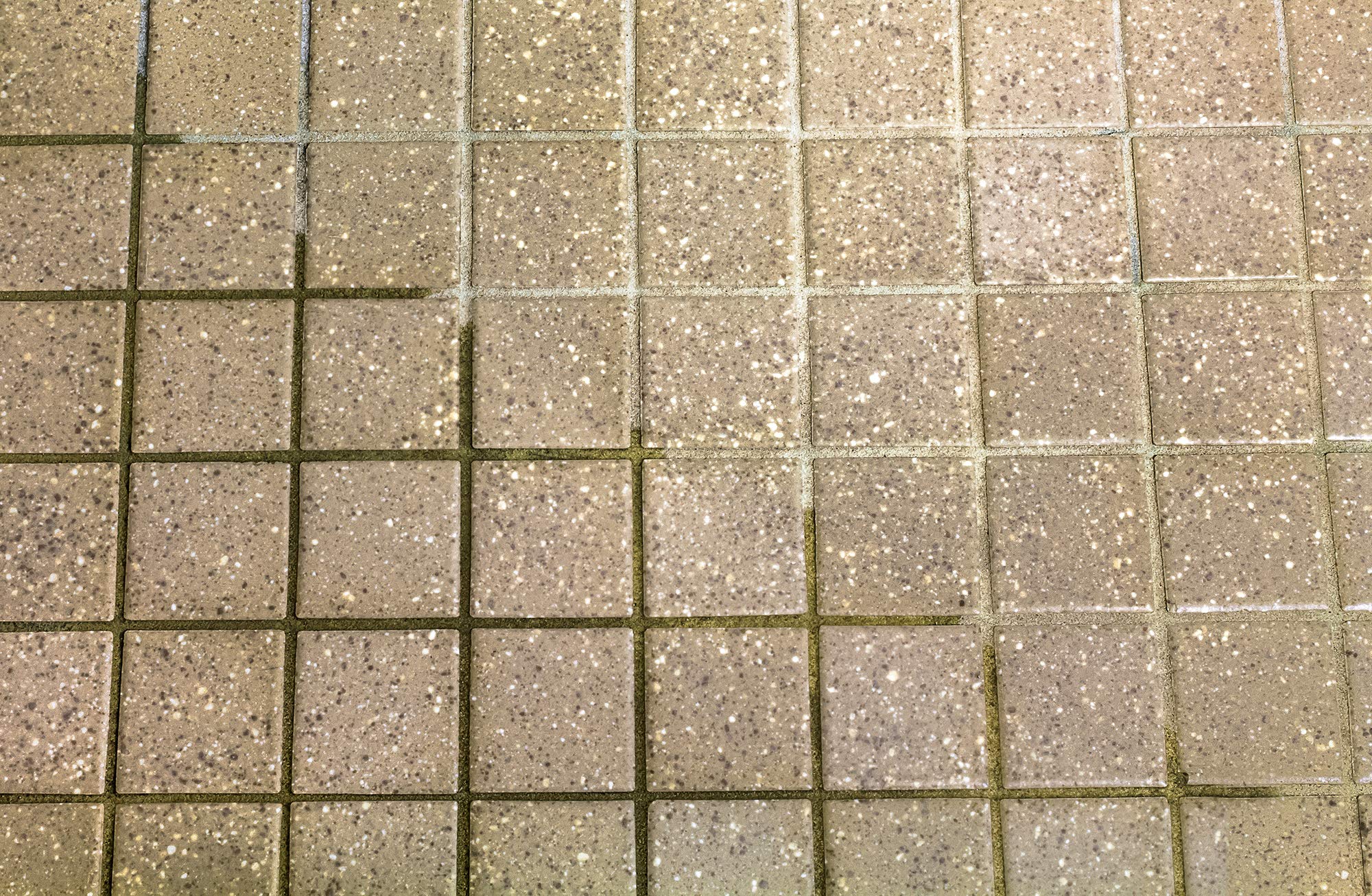 Square Scrub 4.75x10 Blue Tile & Grout Pad - Sold Individually