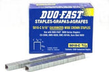 5018C Similar to Duo Fast 20 Gauge Galvanized Staple 1/2-Inch Crown x 9/16-Inch Length, by Duo-Fast