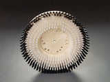 17" Poly Carpet Brush Complete with NP9200 Clutch Plate