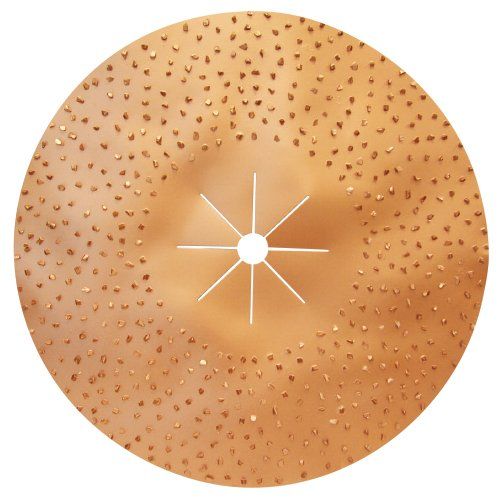 Pearl Abrasive 16" Hexpin Double-Sided Tungsten Carbide Sanding Disc
