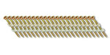 Fasco SCPS1013CSEG Scrail Fastener  Coarse Thread 30-33-Degree Plastic Strip Electro-Galvanized Square Drive, 3-Inch x .113-Inch, 1000 Per Box