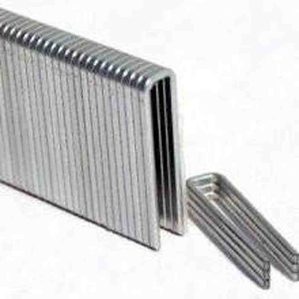 Gsw16 Galvanized Staples with High Quality - China Prebena Staples and Gsw16 Galvanized Staples with High Quality - China Prebena Staples and